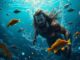 Wer streamt Aquaman 2